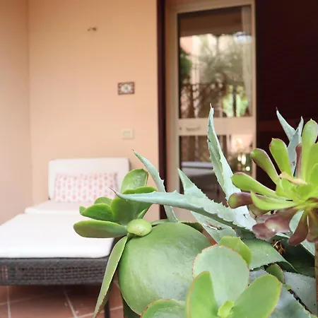 アパート Apartament Monte Petrosu *