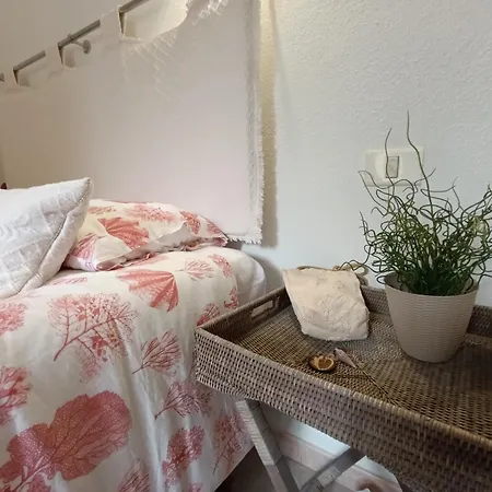 Apartament Monte Petrosu *